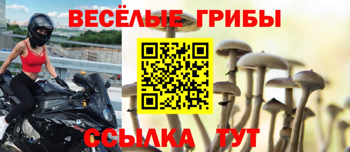 где можно купить наркотик  Вход с VPN  Элиста  Псилоцибиновые грибы мухоморы 
