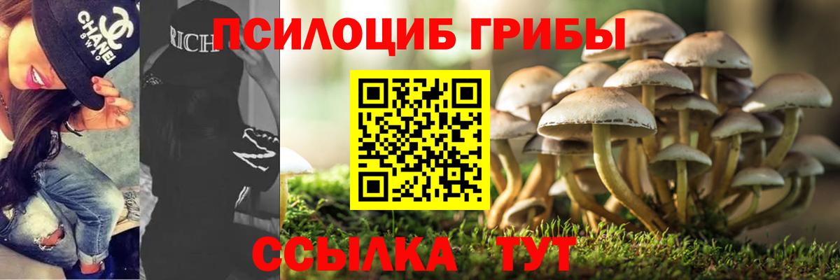 Псилоцибиновые грибы мухоморы Элиста